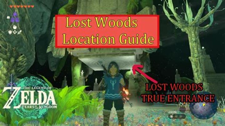 How do I navigate the lost woods?