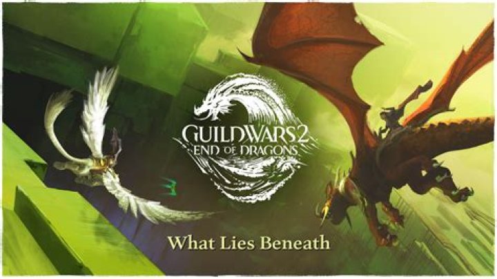 How do I play with my friend in Guild Wars 2?