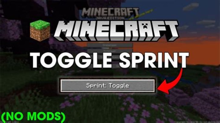 How do I sprint in Minecraft?