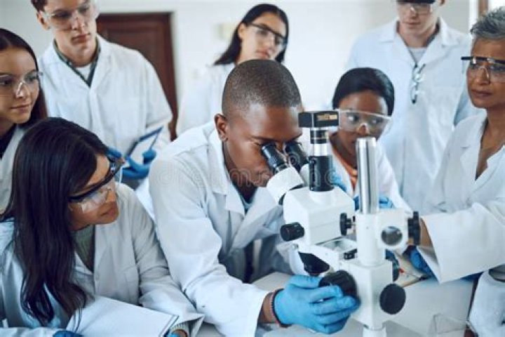 How do labs and scientists work?