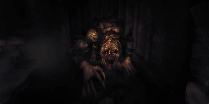 How do the regular monsters 