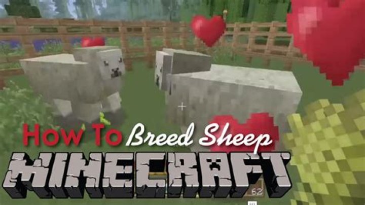 How do you breed a green sheep in minecraft?