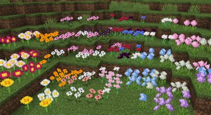 How do you get all the hybrid flowers?