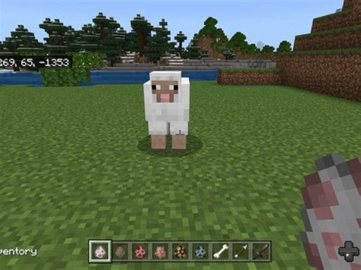 How Do You Make Your Sheep Different Colors On Minecraft?