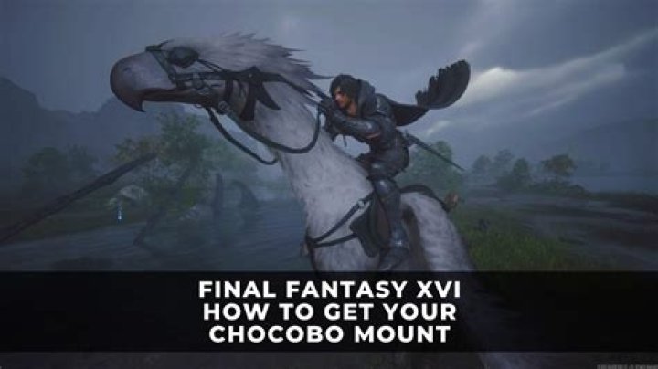 How do you unlock the Chocobos in Final Fantasy XIII?