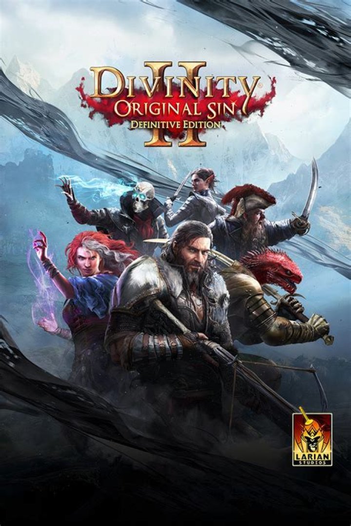 How does multiplayer work in Divinity Original Sin?
