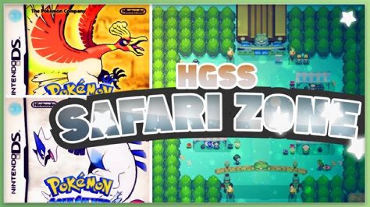 How does the Pokemon HeartGold / SoulSilver Safari Zone work?