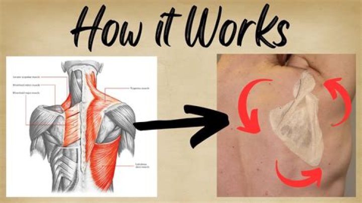 How does the Scapular work?