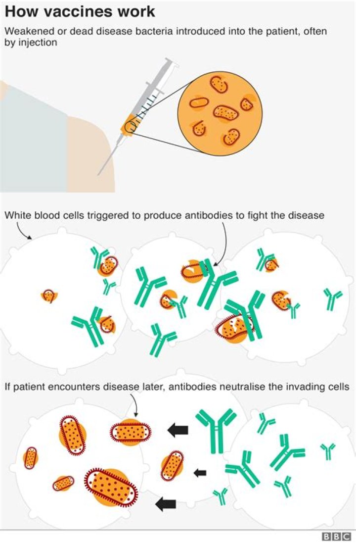 How does the Vaccinator work?