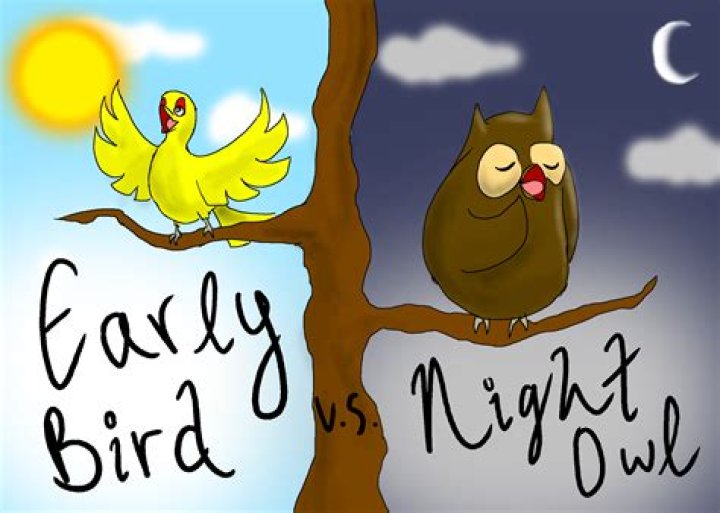 How exactly do the Early Bird/Night Owl Town Ordinances work?