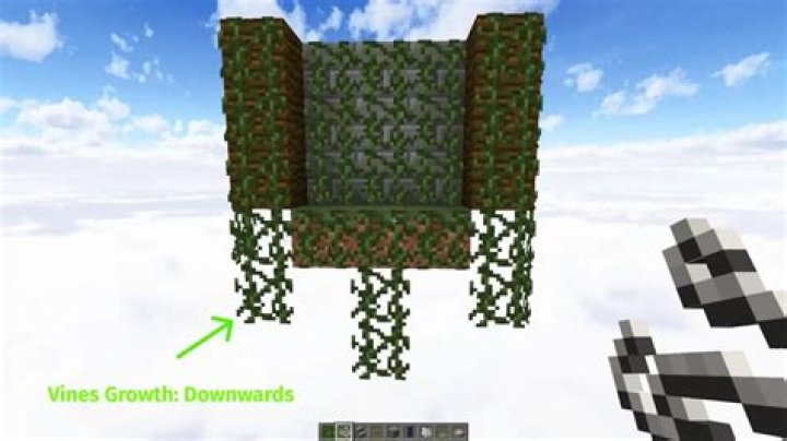 How long can vines grow in Minecraft?