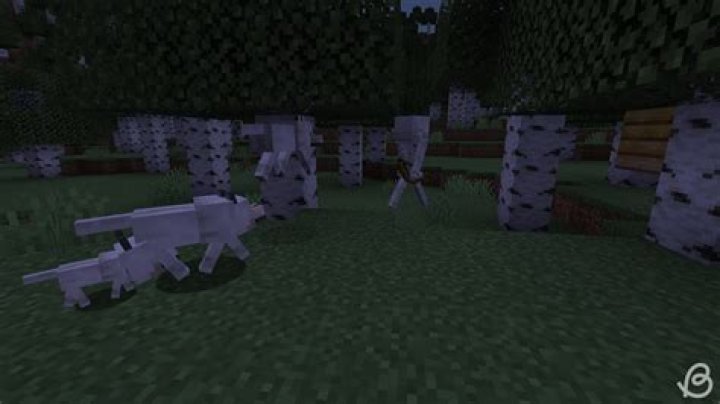 How long until tamed wolves stop attacking in Minecraft?
