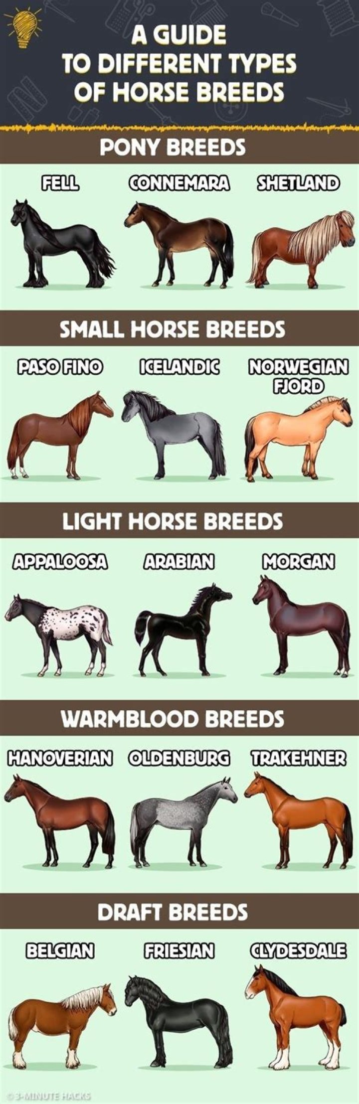 How many horses can I have?
