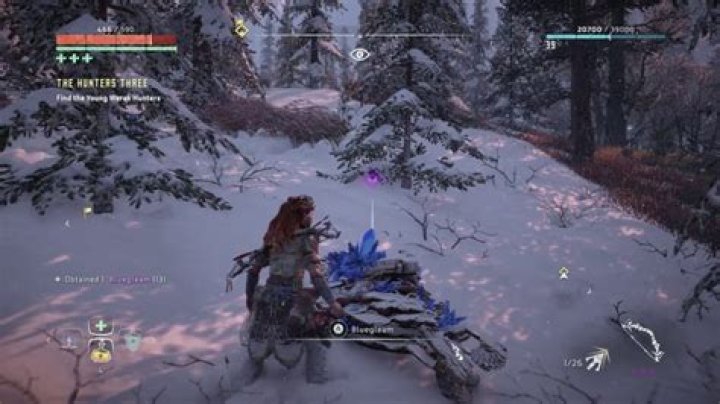 How much Bluegleam is there to collect?