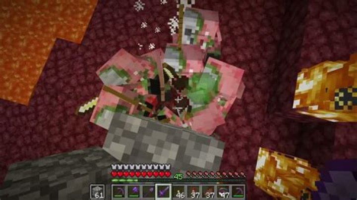 How to cure Zombie Pigmen anger infection?