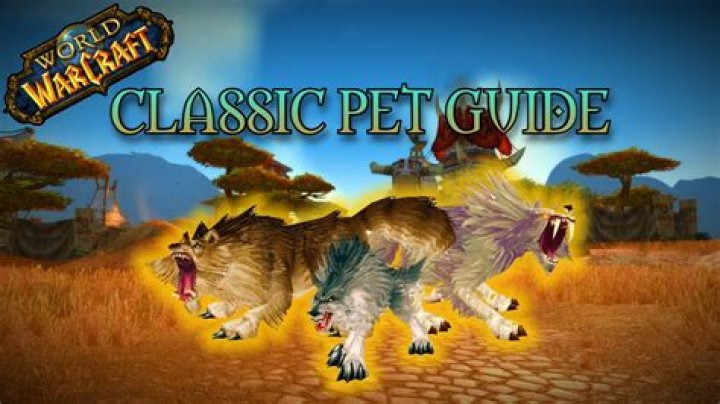 How to get a pet on WoW?