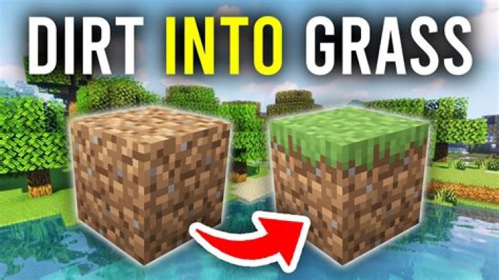 How to get my dirt to not turn into a grass block?