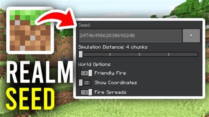 How to get world seed in Realms when you are not the owner?