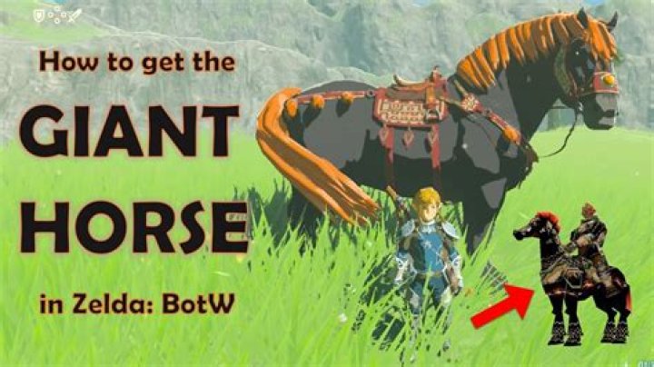 How to get Zelda's horse in BOTW?