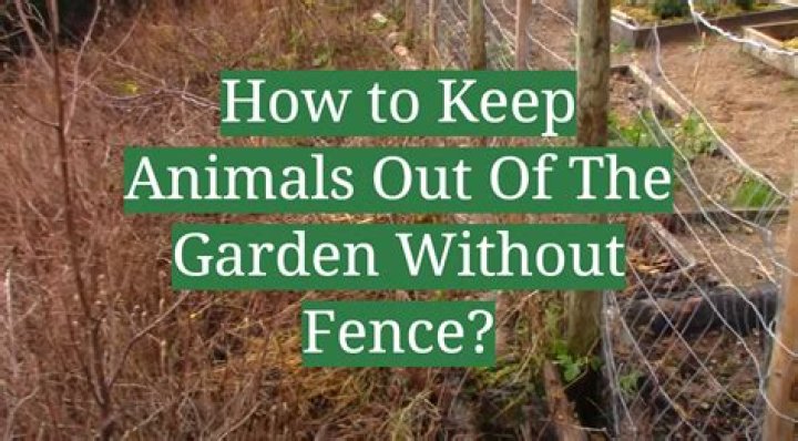 How to keep those animals out of my farm?