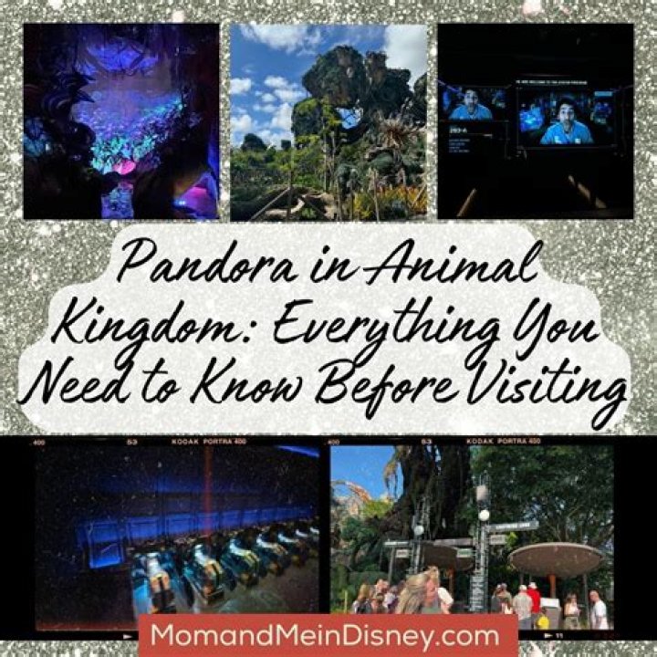How to select your start kingdom in KoA?