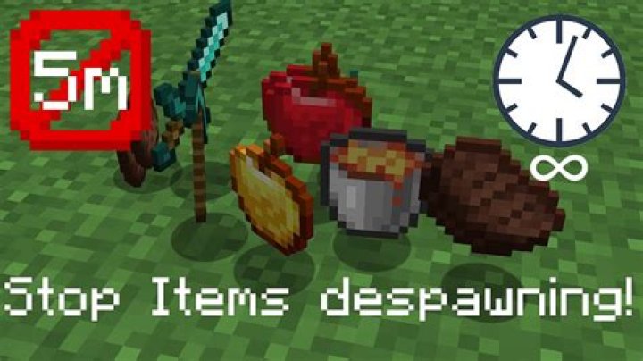 How to stop Items from despawning?