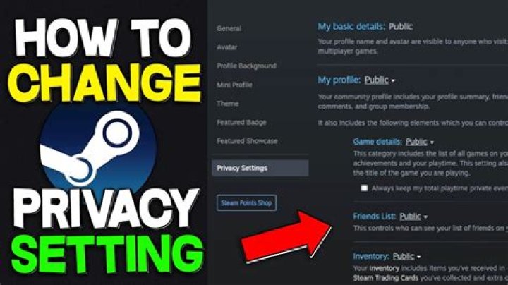 How to turn off Steam privacy settings