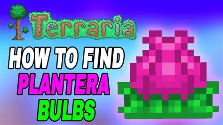 I can't seem to find Plantera's bulbs