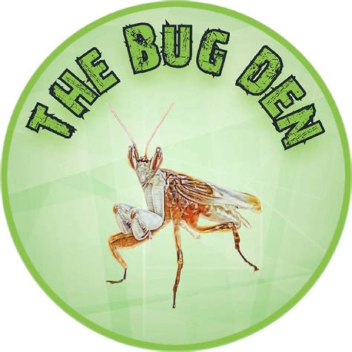 I seem to be stuck in the bug den?