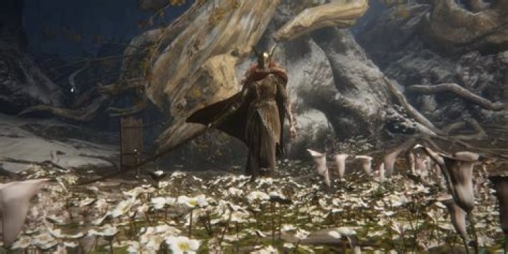 In Dark Souls, What is Estus?