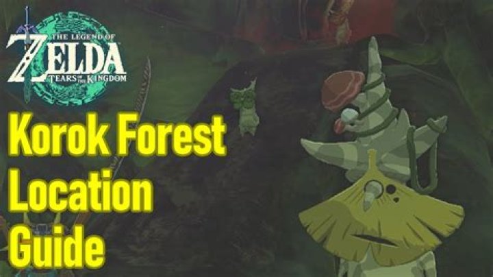 In the korok forest, why do the koroks run away from me when I get in their sight?
