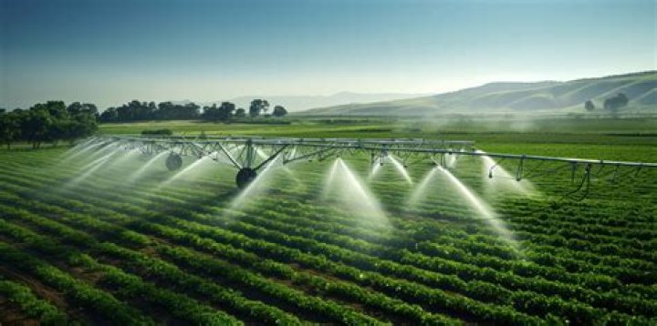 Is there a way for me to irrigate my crops?