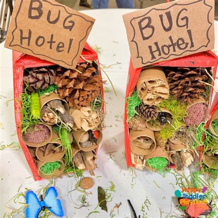 Is there a way to resolve this bug and make my house appear?