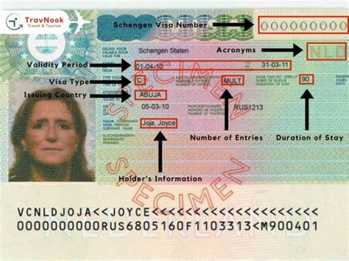 Is there a way to reverse a visa in Papers, Please if you suddenly realize something is awry?