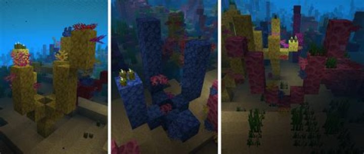 Is there any information about the coral reef generation algorithm or a reference of possible coral structures?