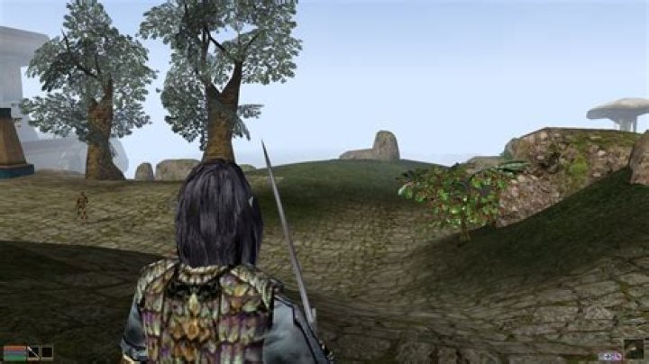 Is there any reason not to turn on Morrowind's 