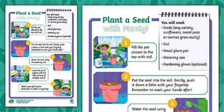 Joya Seed: How to plant?