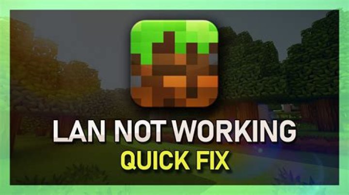 Lan server on Minecraft not working Pls help [closed]