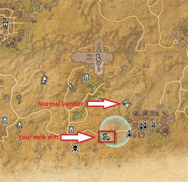 Lizard Racing, How To Train My Lizard?
