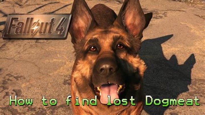 Lost Dogmeat in fallout 4