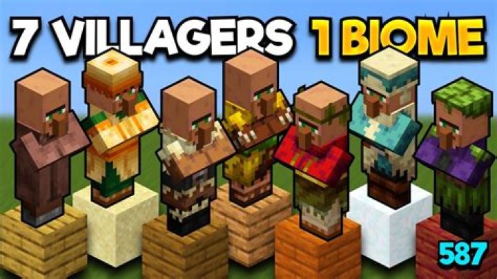 Minecraft 1.14.4 villager won't collect 8 seed packs