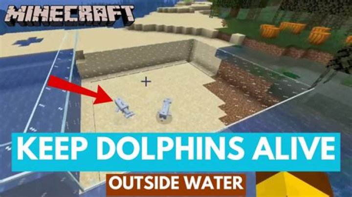 Minecraft dolphins won’t do anything?
