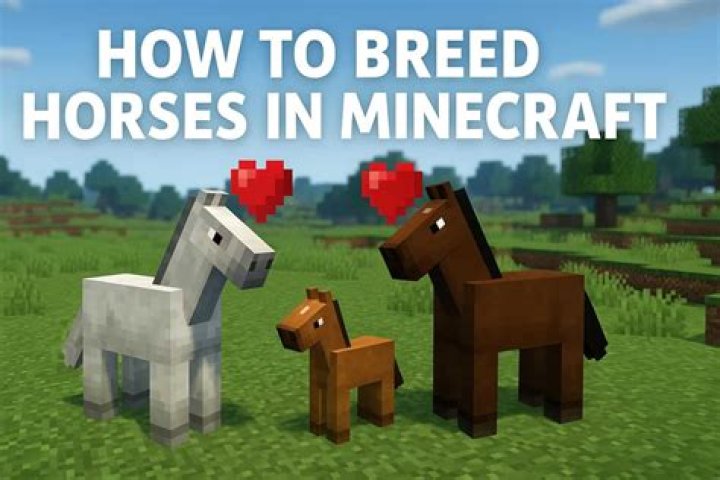 Minecraft horse breeding trouble