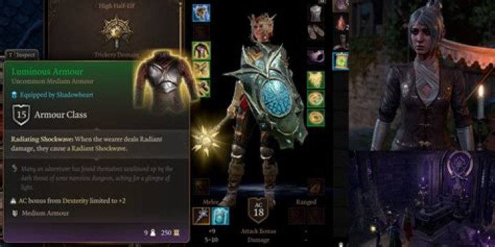 My companion won't wear her armor