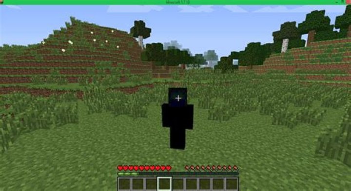My Minecraft skin is broken (does not display correctly)