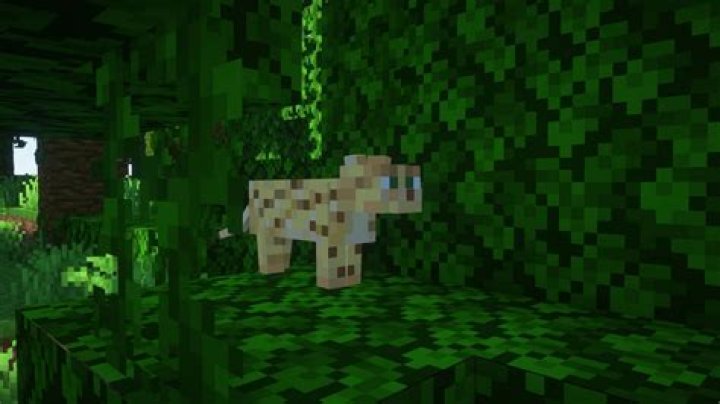 My ocelot in Minecraft won't change? [duplicate]