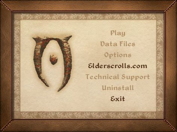 Only the Elderscrolls.com and Exit buttons are enabled on the Elder Scrolls IV: Oblivion launcher