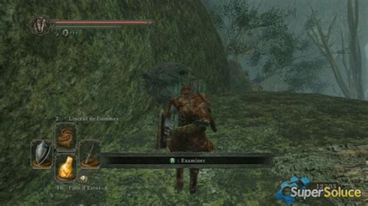 Ornifex in Dark Souls 2 not appearing?