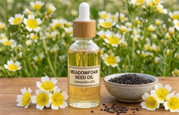 Requiring help with seed oil