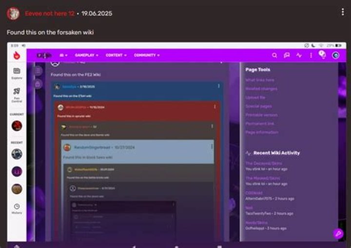 Screenshot from Fandom